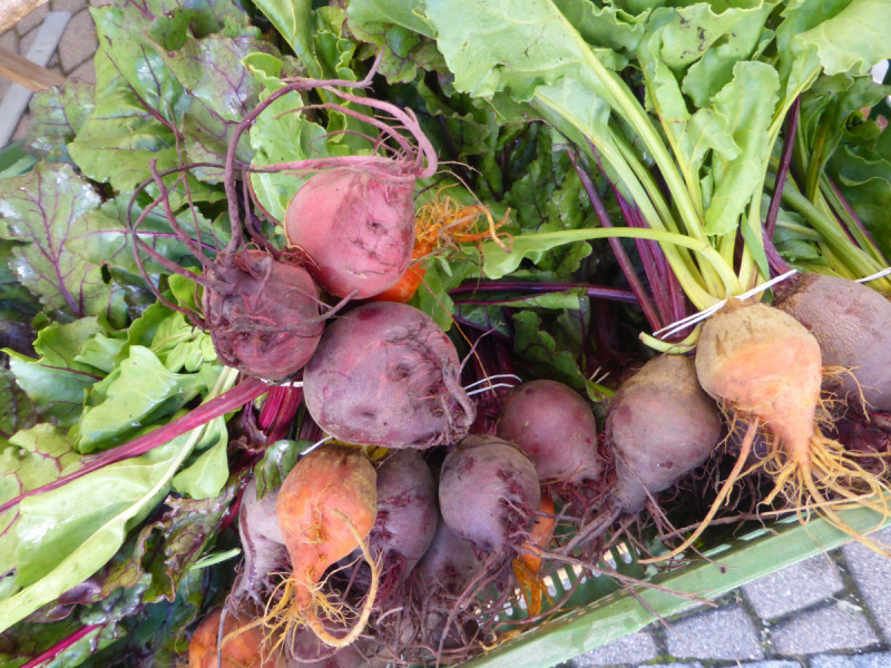 Willkommen - Verein GüterWeGe